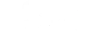 Stake logo